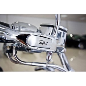 Harley-Davidson Softail | Deluxe Cruiser Motorcycle