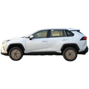 Toyota RAV 4 Hybrid LE | Effizienter SUV