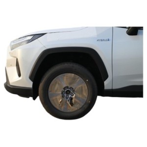 Toyota RAV 4 Hybrid LE | Effizienter SUV