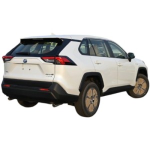 Toyota RAV 4 Hybrid LE | Effizienter SUV