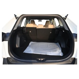 Toyota RAV 4 Hybrid LE | Effizienter SUV