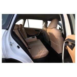 Toyota RAV 4 Hybrid LE | Effizienter SUV