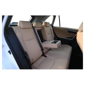 Toyota RAV 4 Hybrid LE | Effizienter SUV