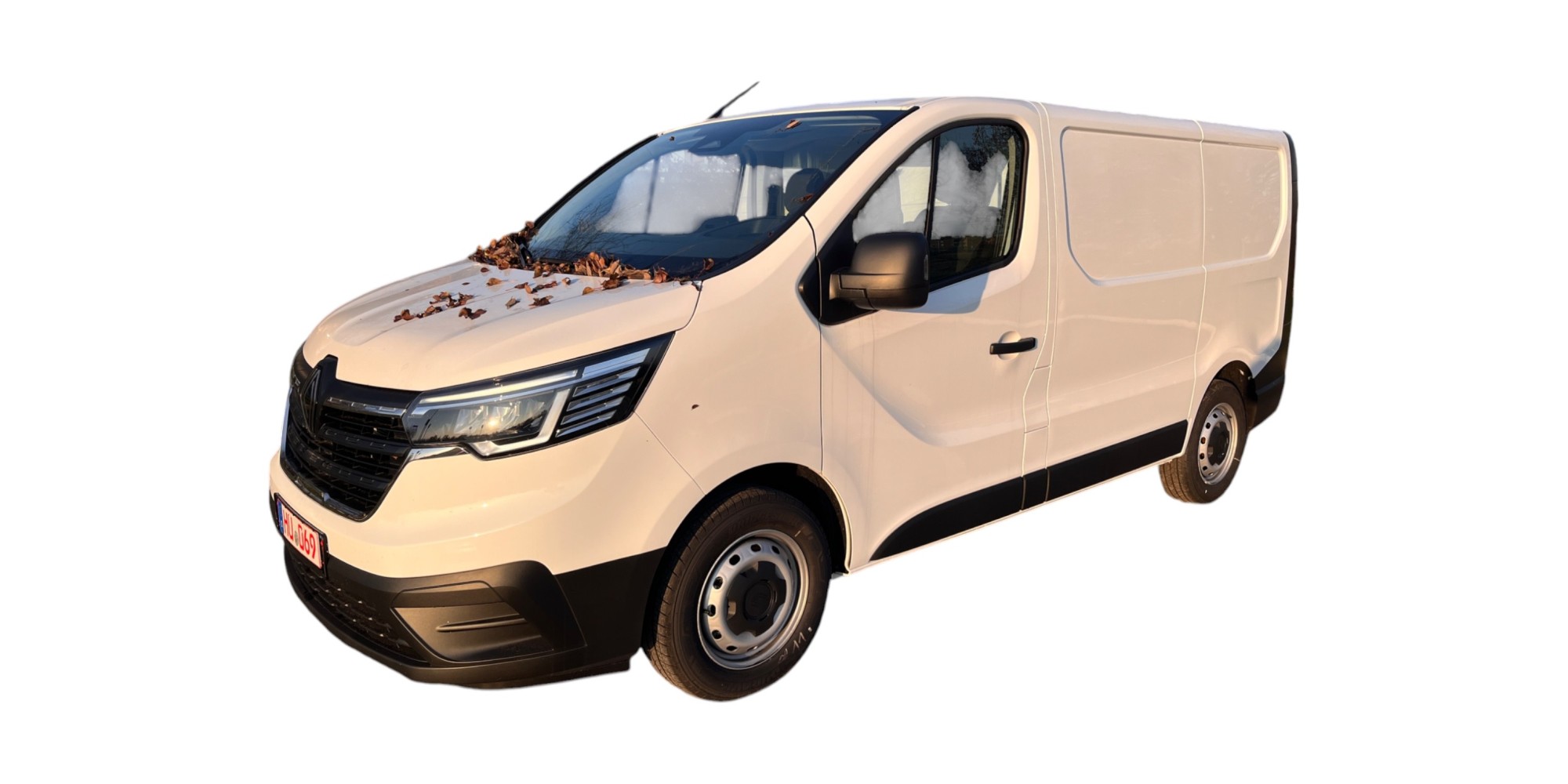 Renault Trafic 2.0 DCI - Versatile Van with Efficiency