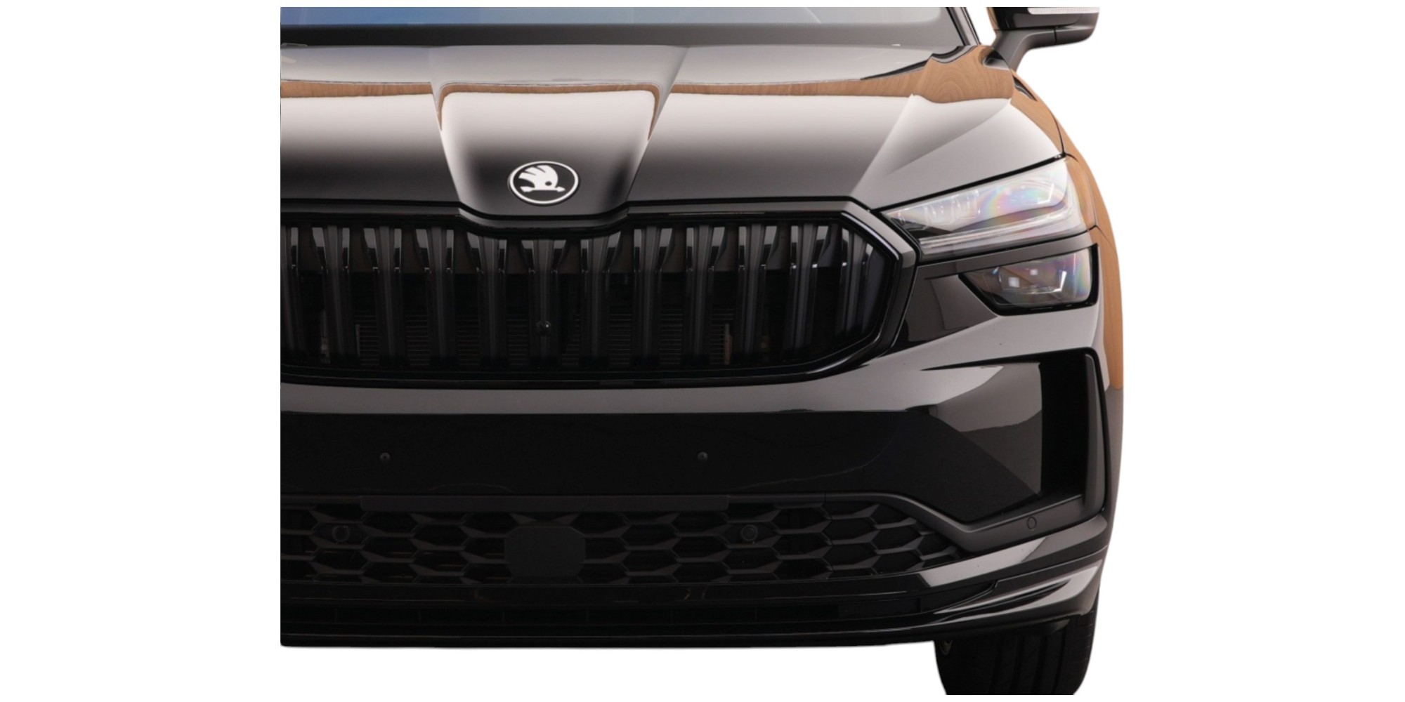 Škoda Kodiaq Sportline – Spazio e Prestazioni | Scopri Ora