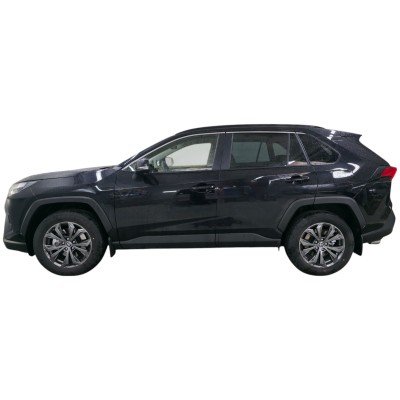 Toyota RAV4 Hybrid – Potenza e Lusso | Provalo Ora