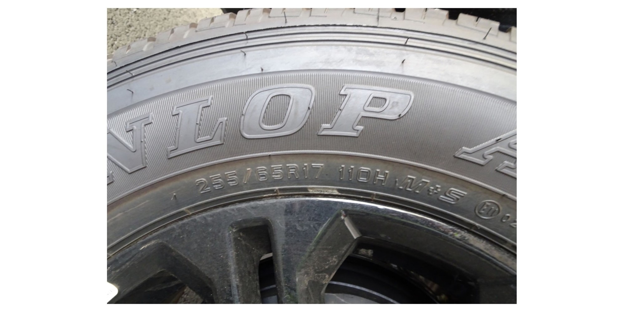 Nissan Navara PRO-4X 2.5L 4x4 AT for Sale | Modena Motors GmbH