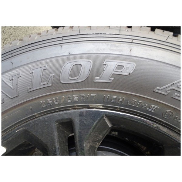 Nissan Navara PRO-4X 2.5L 4x4 AT for Sale | Modena Motors GmbH