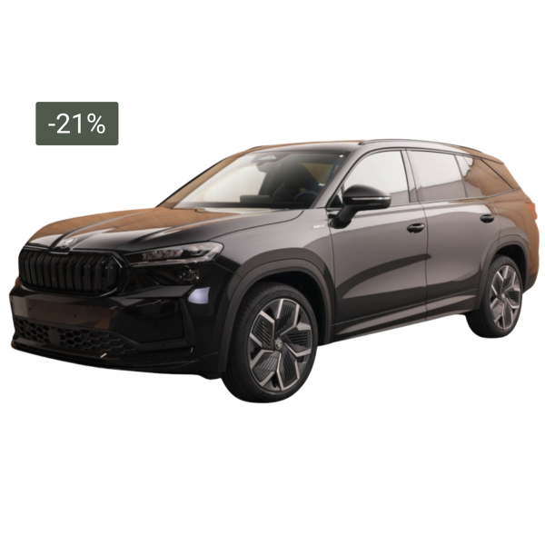 Skoda Kodiaq Sportline | Raum und Dynamik